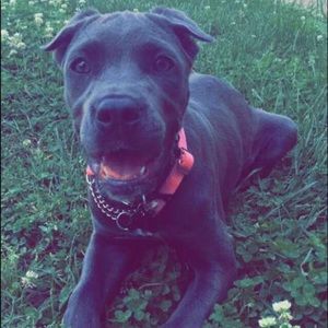 Meet your Posher, Barbara